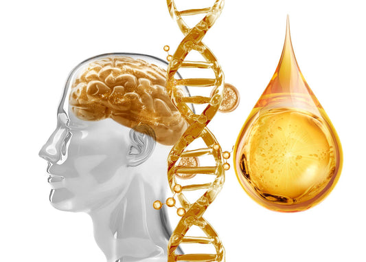 visual representing relation between omega 3 and brain health.